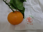 2010020934.JPG