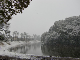 2011021408.JPG