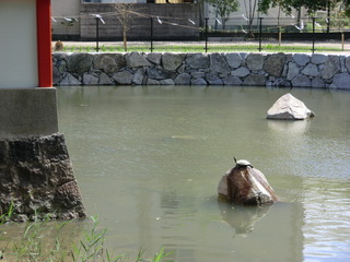 2011062405.JPG